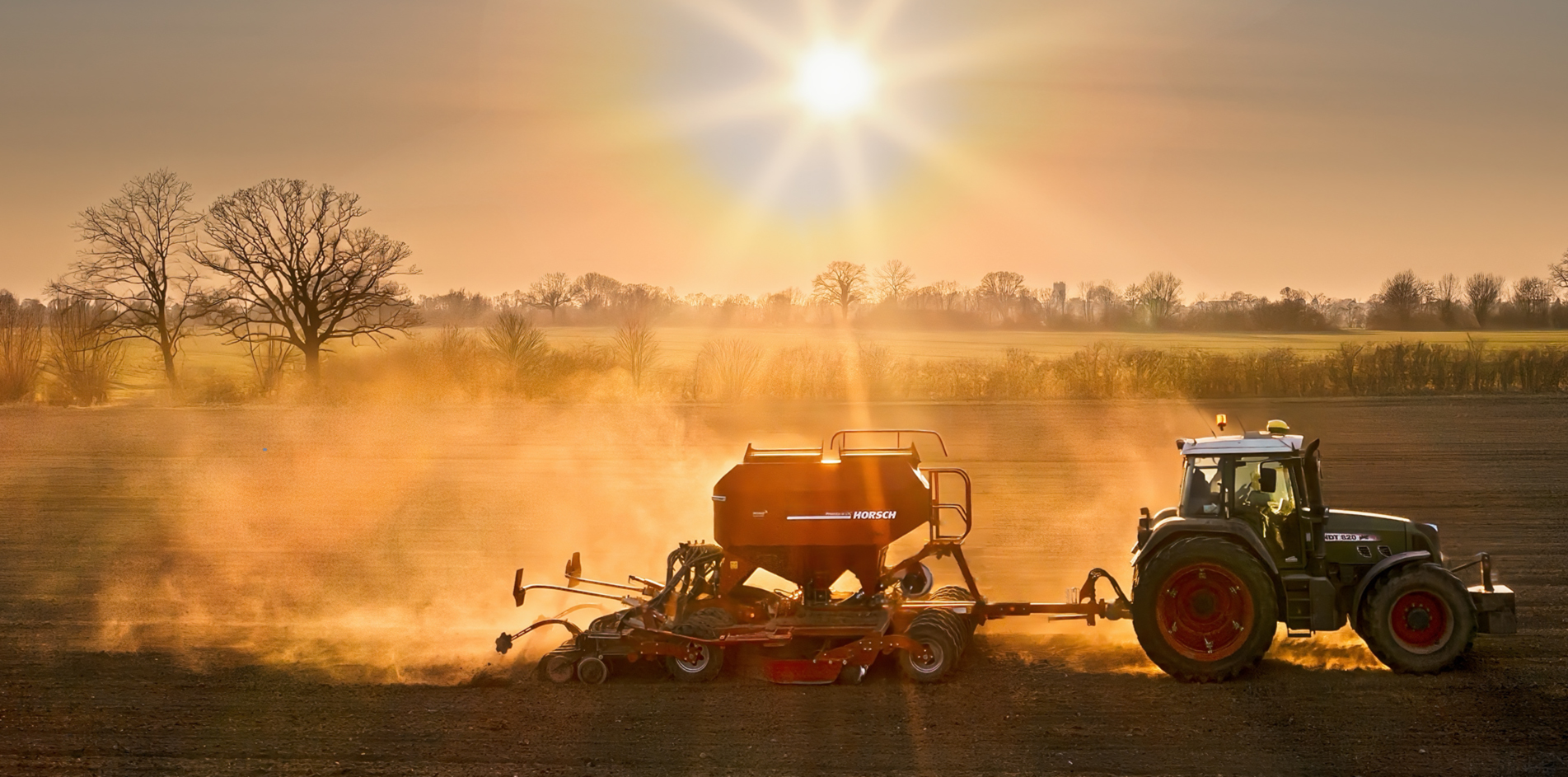 Cultivation recommendation for oats for the 2025 harvest