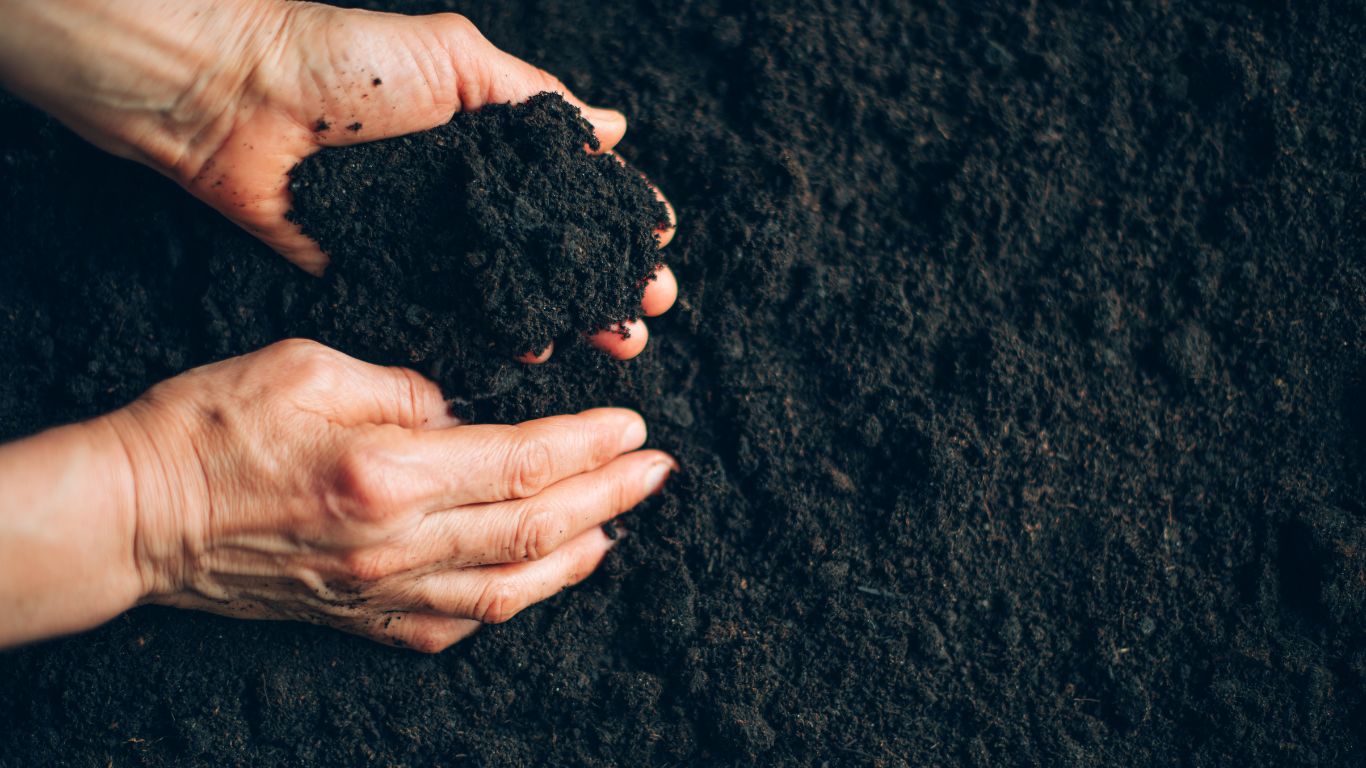 Terra Preta: soil conditioner, CO₂ store, emission reducer – what is the story behind it?